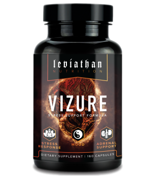 Leviathan VIZURE Stress Support